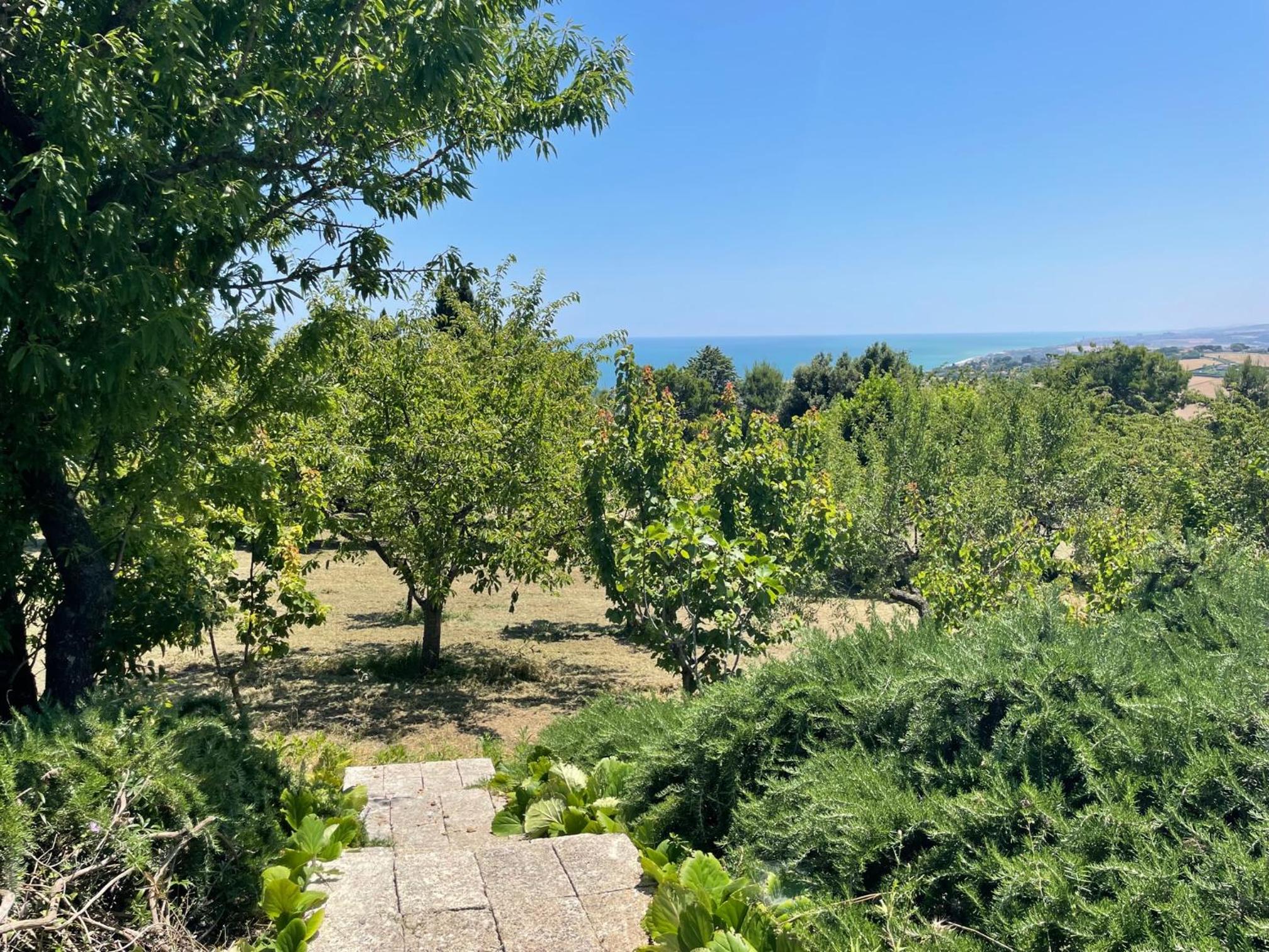 Villa Panorama Sirolo view 3