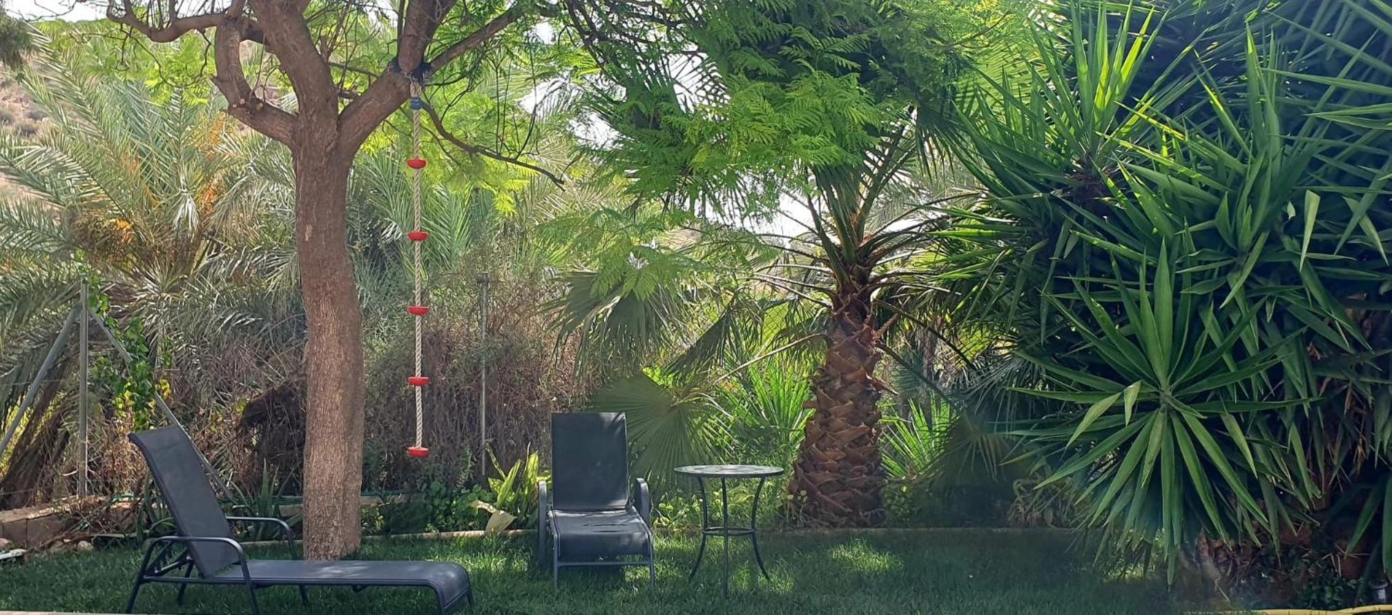 Oasis de Ifre