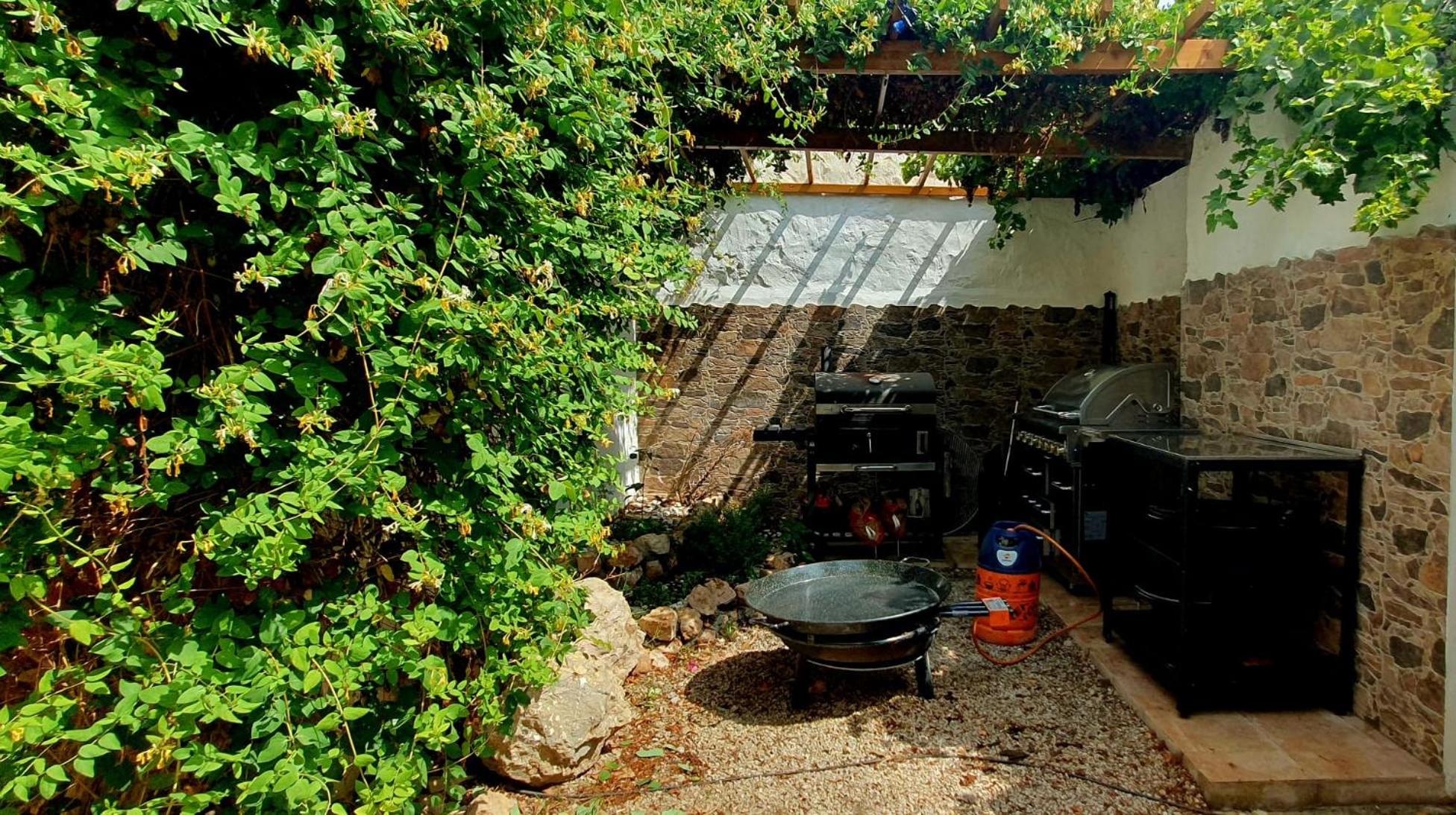 Oasis de Ifre