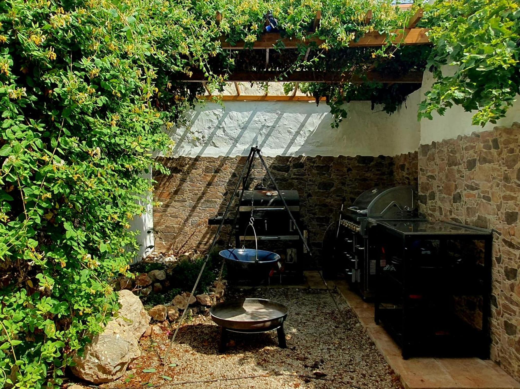 Oasis de Ifre