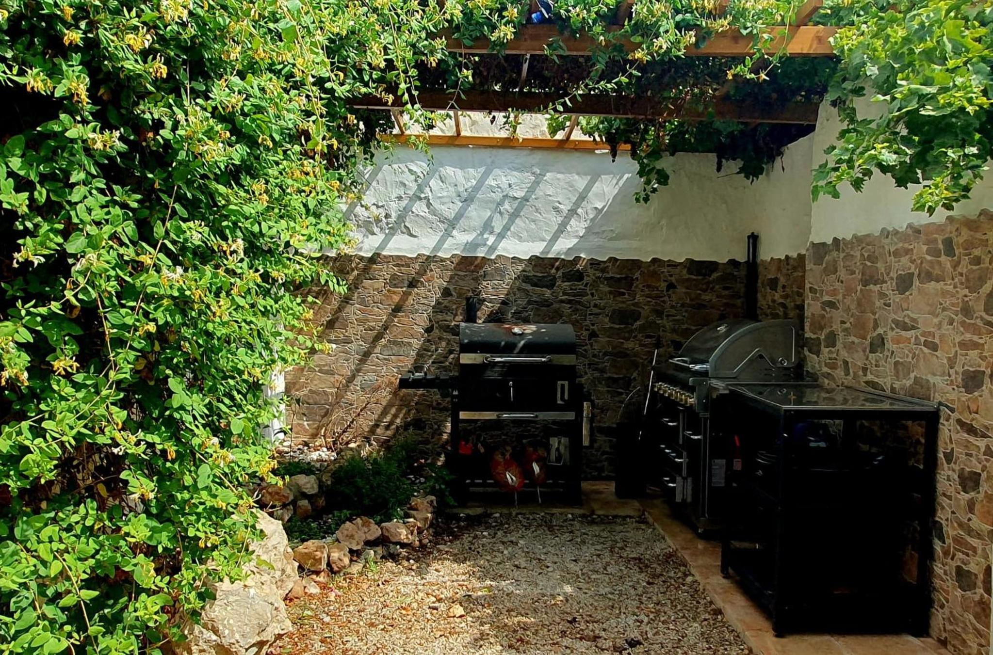 Oasis de Ifre