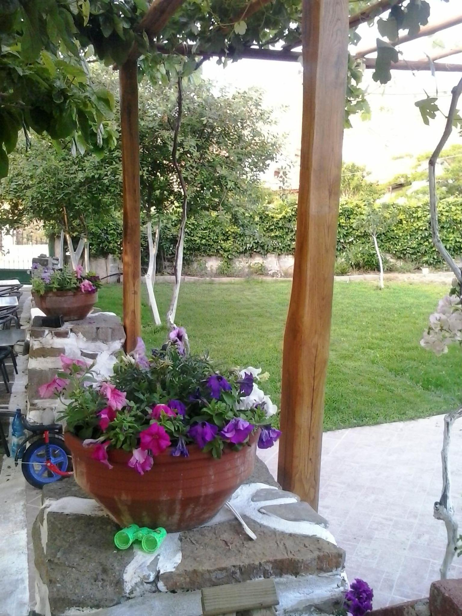 Photo 45