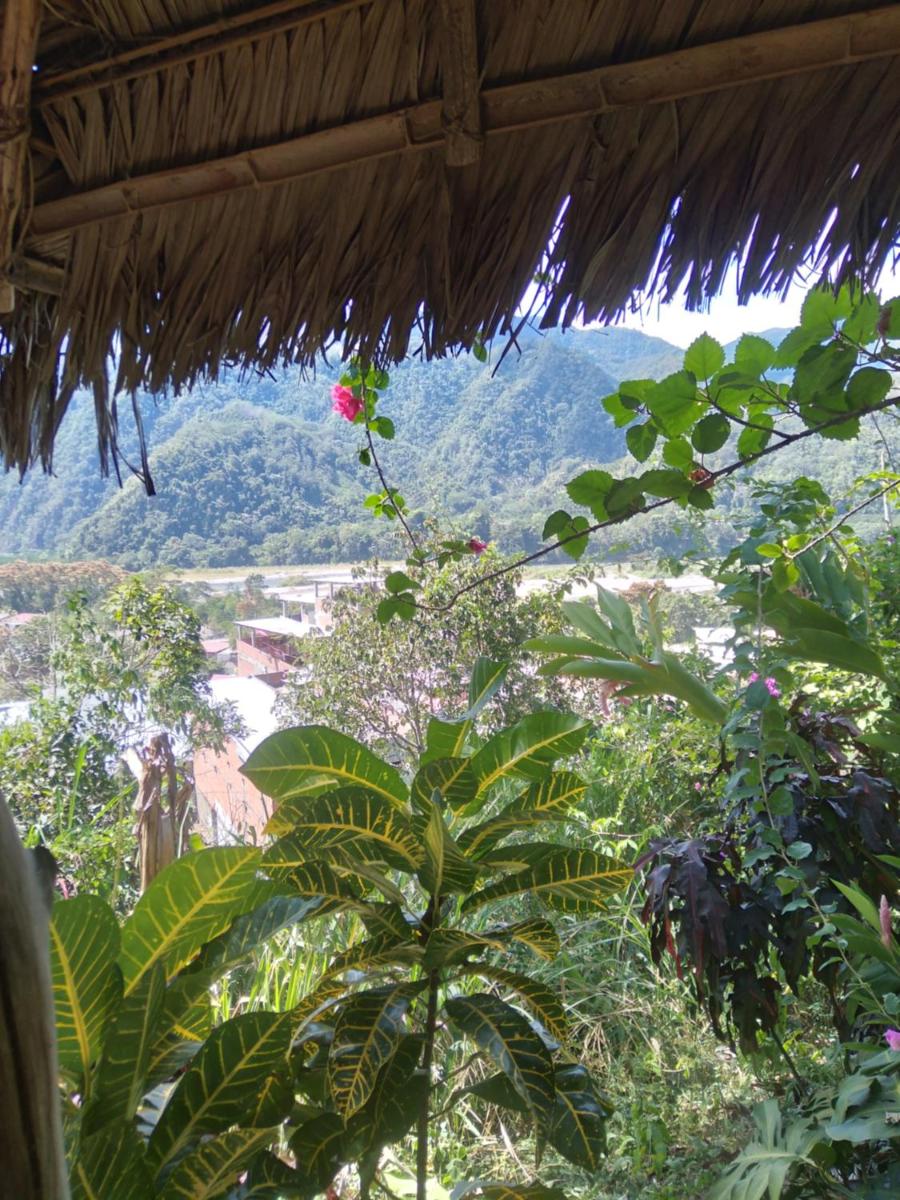 Cloud forest SAN CARLOS view 2