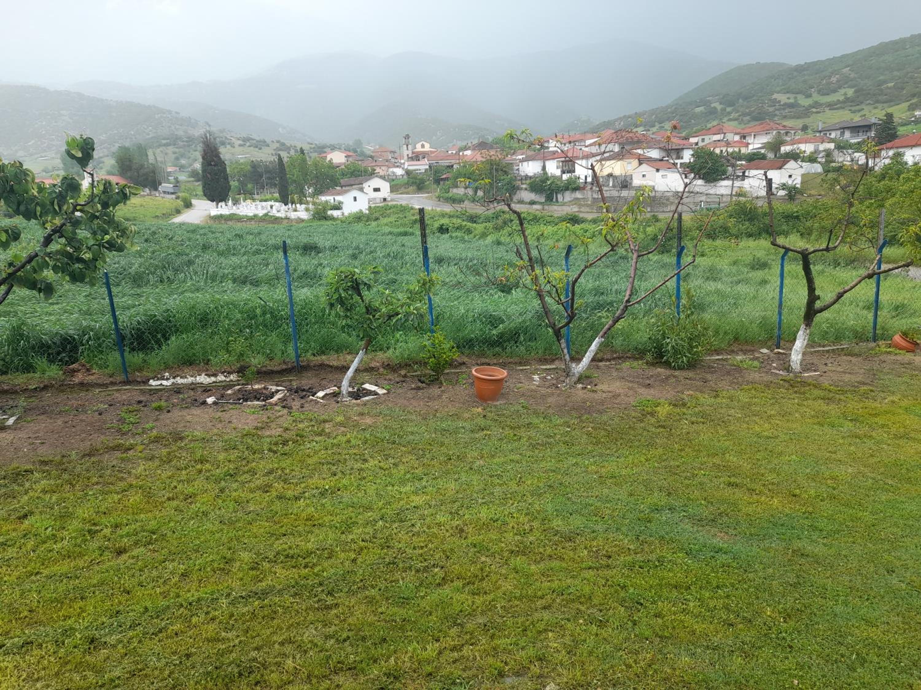 Villa Olympus