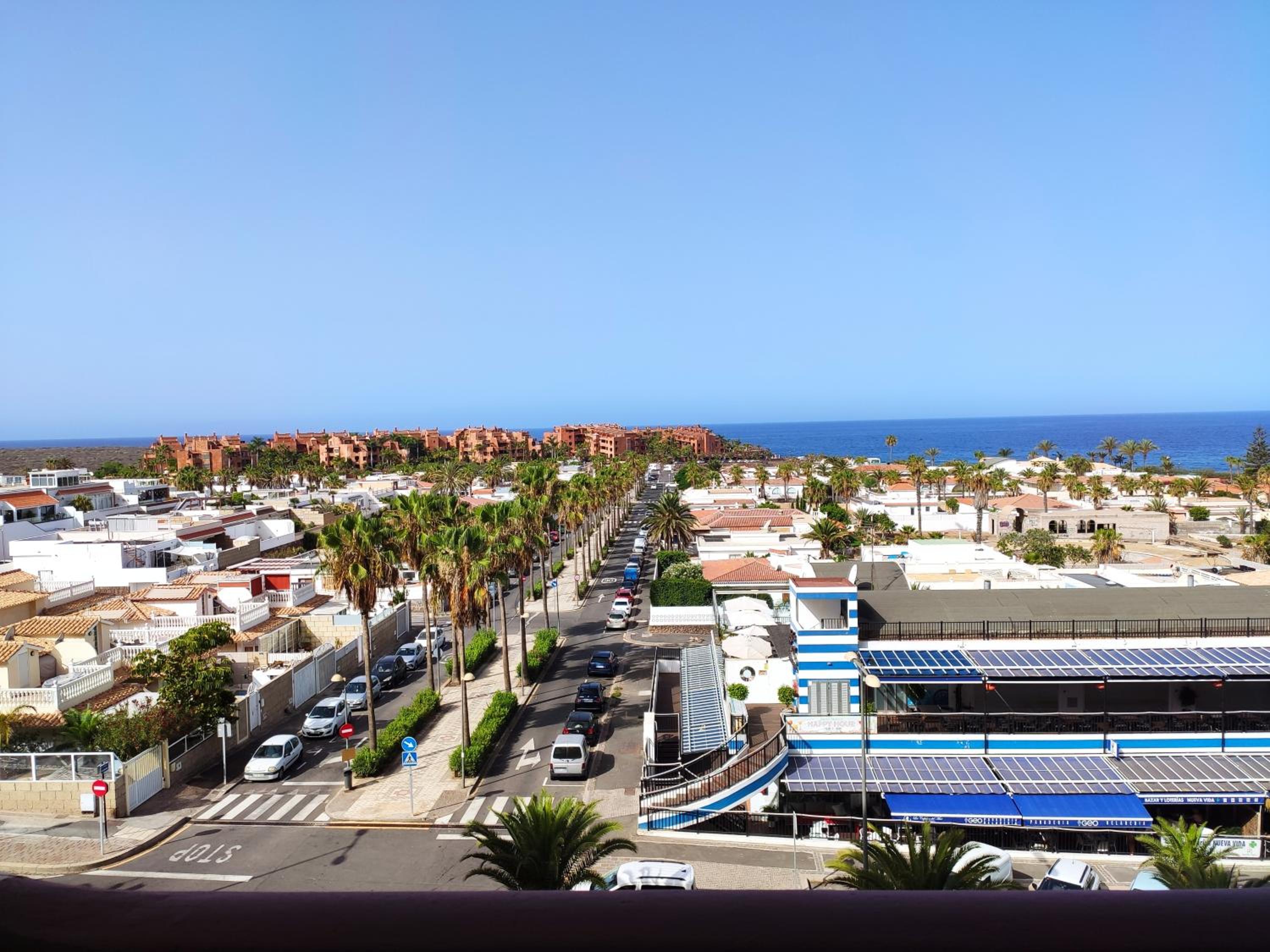 Tenerife Flamingo