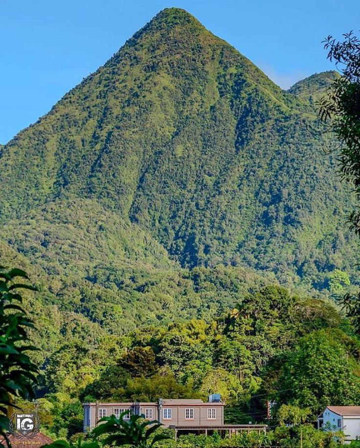 Colibri