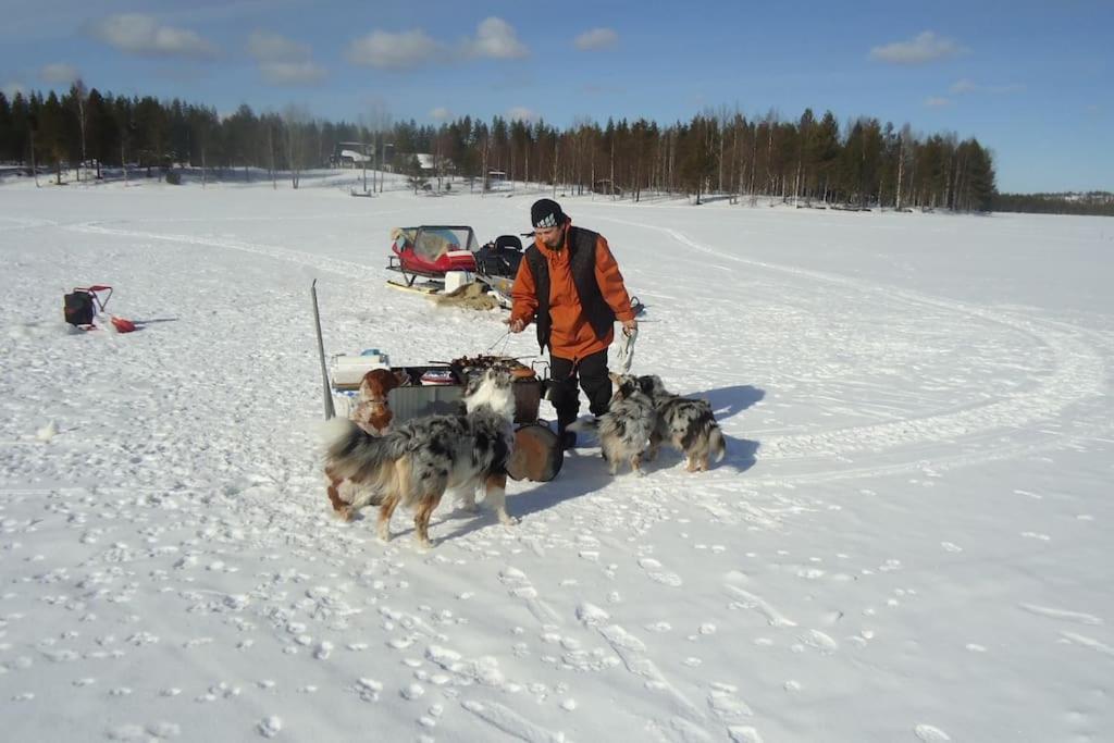 Your Peace Of Lapland