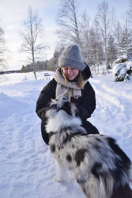 Your Peace Of Lapland
