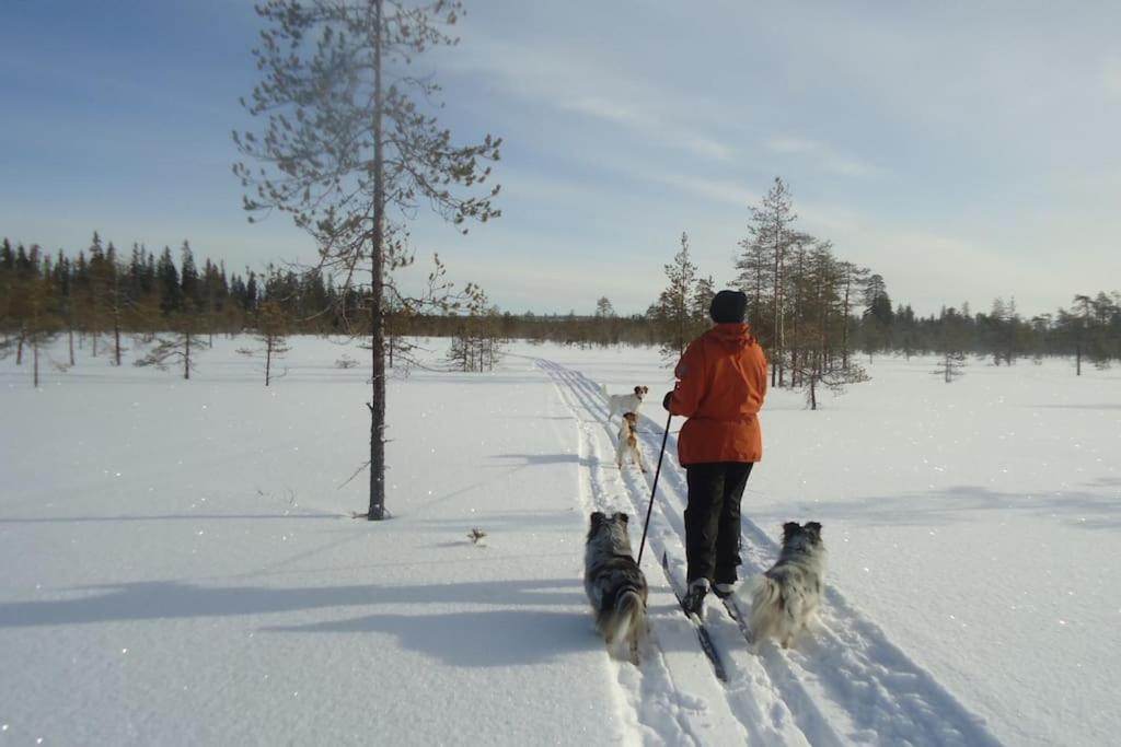 Your Peace Of Lapland