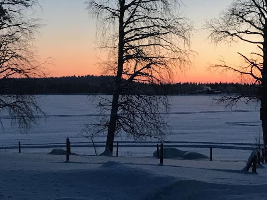 Your Peace Of Lapland