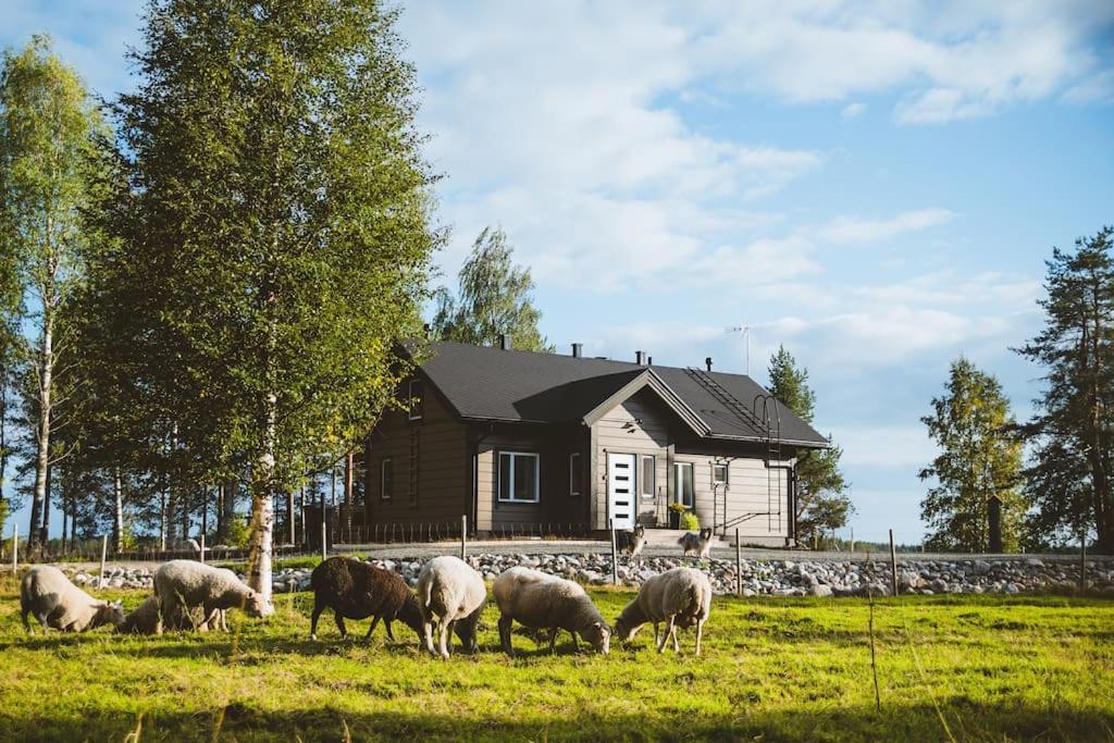 Your Peace Of Lapland