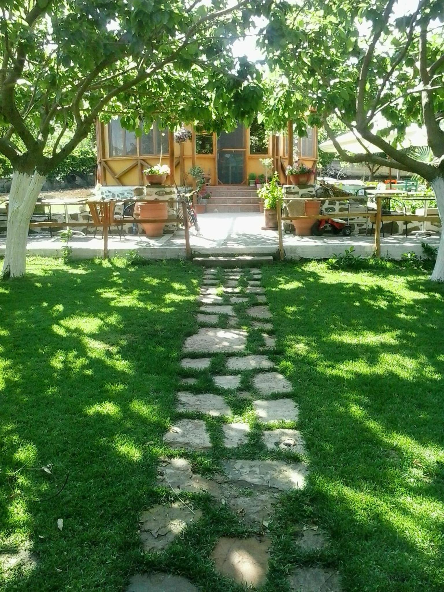 Photo 46