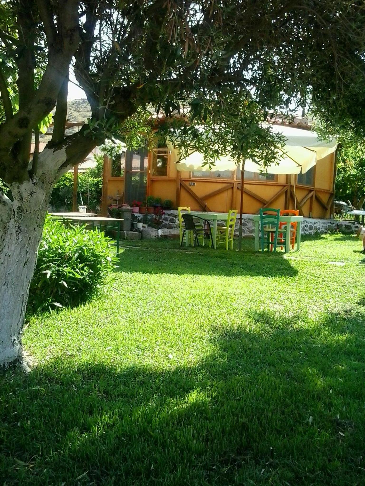 Photo 49