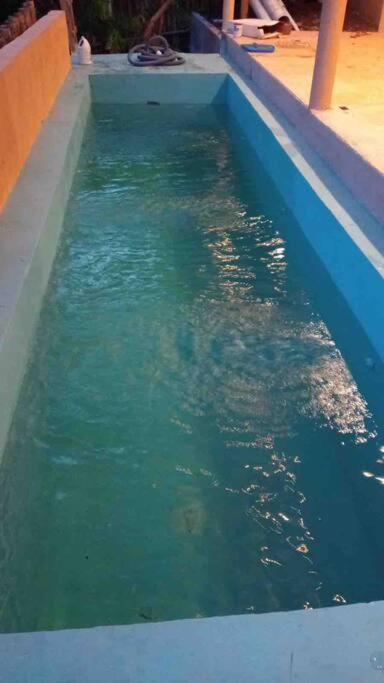 Photo 41