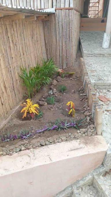 Photo 29
