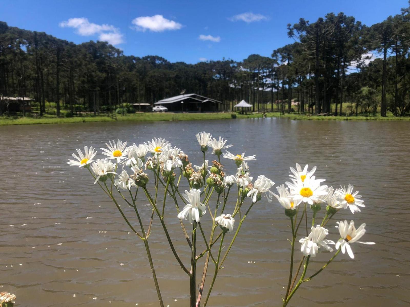 Cabana no Lago, Paz e Aconchego
