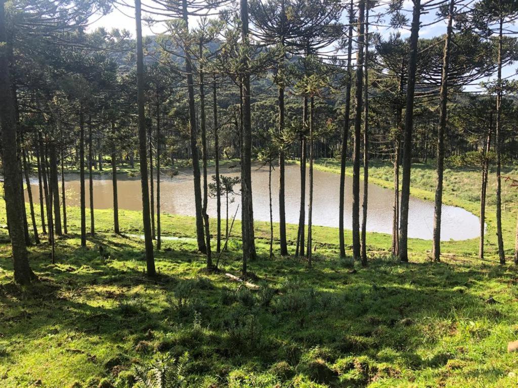 Cabana no Lago, Paz e Aconchego