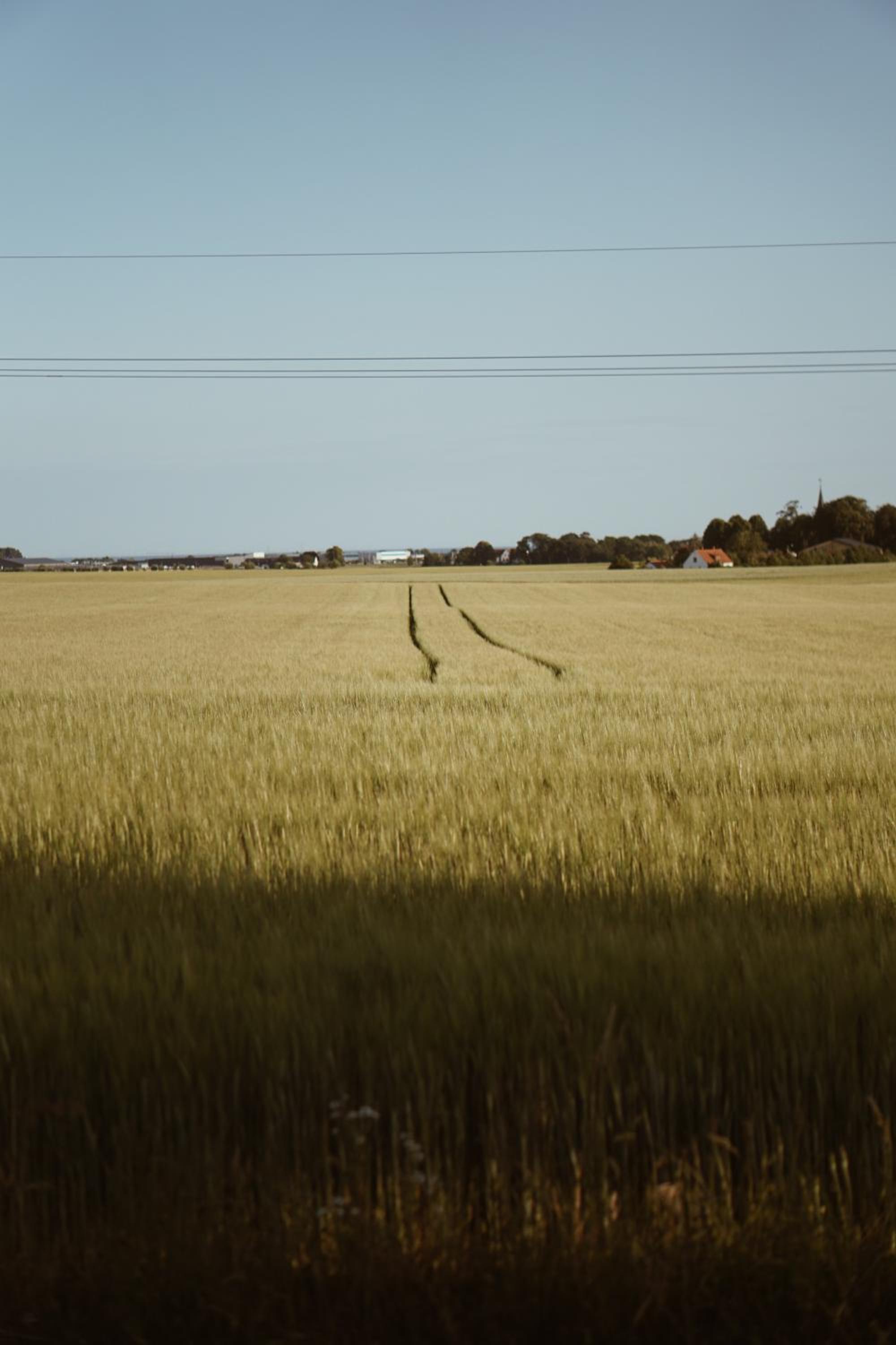 Photo 45