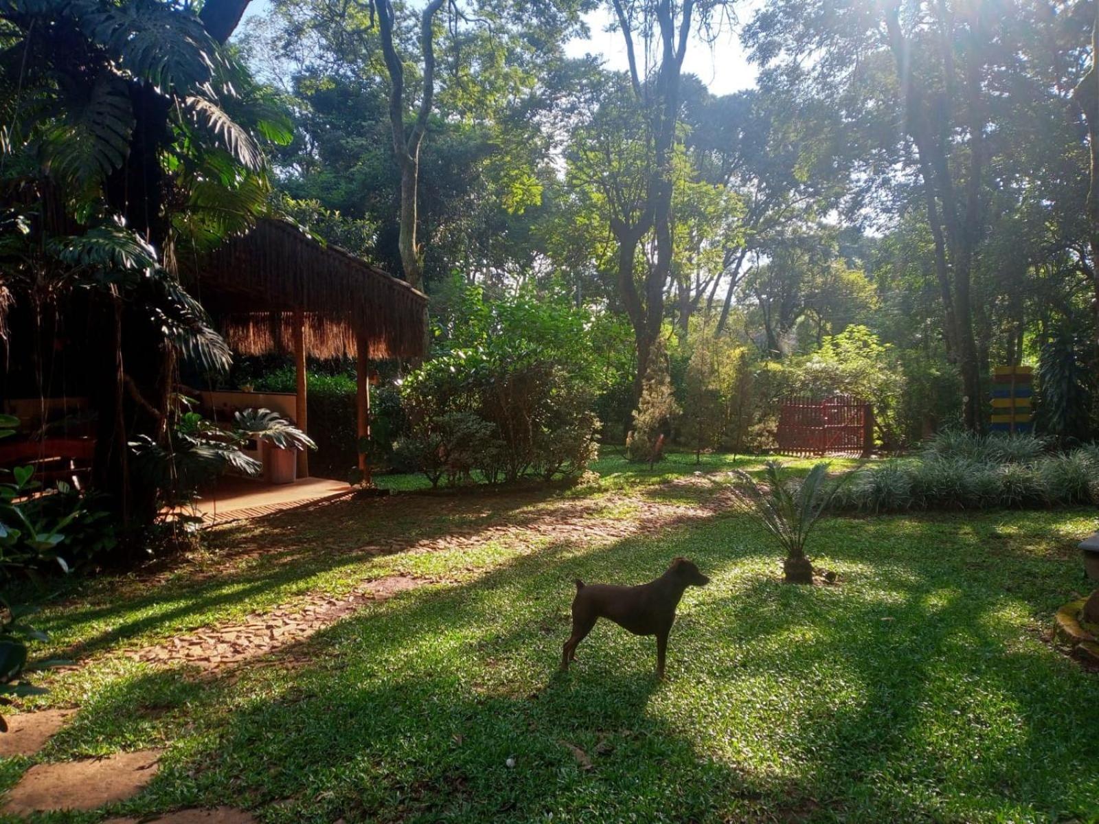 Chalé Cores da Mata