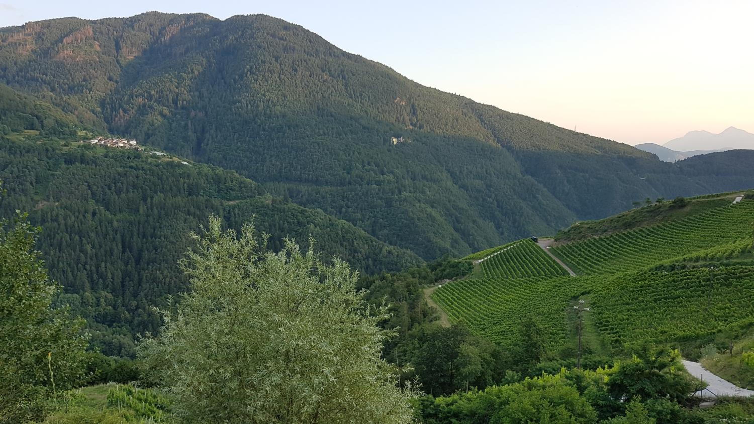 Casa MARGHERITA