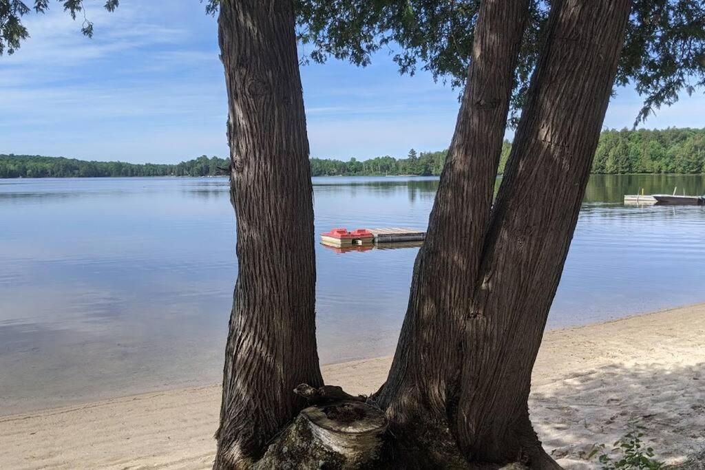 Outstanding Beachfront Cedars Cottage on Wolfe Lake