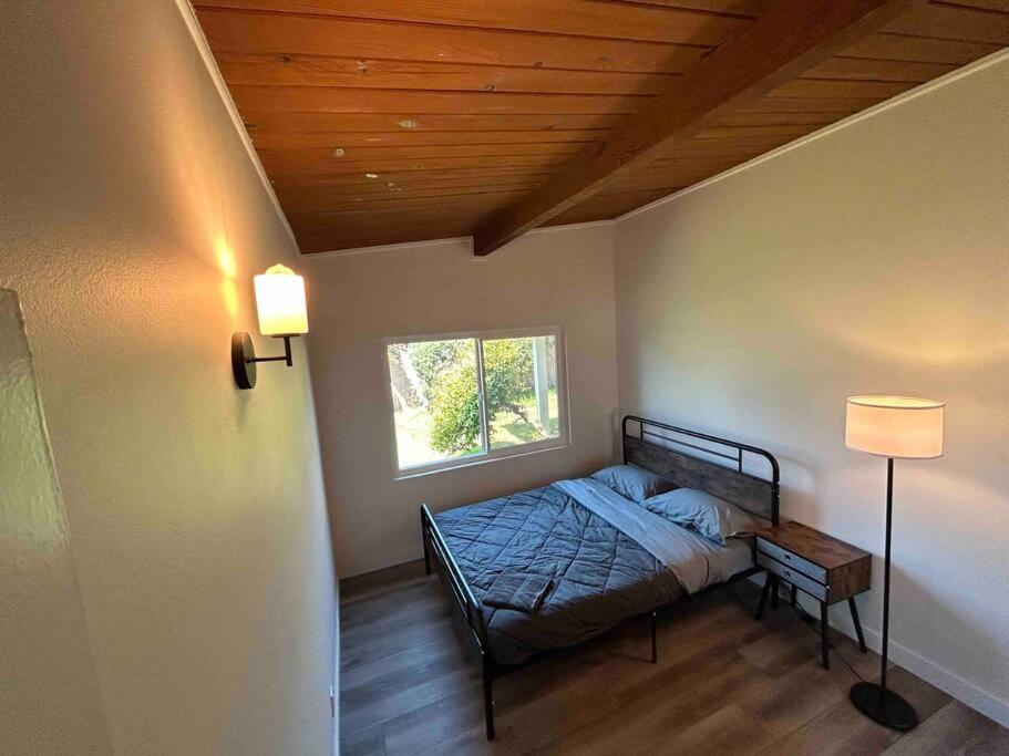 Newly Remodeled 1500sqft Family House City Center view 5