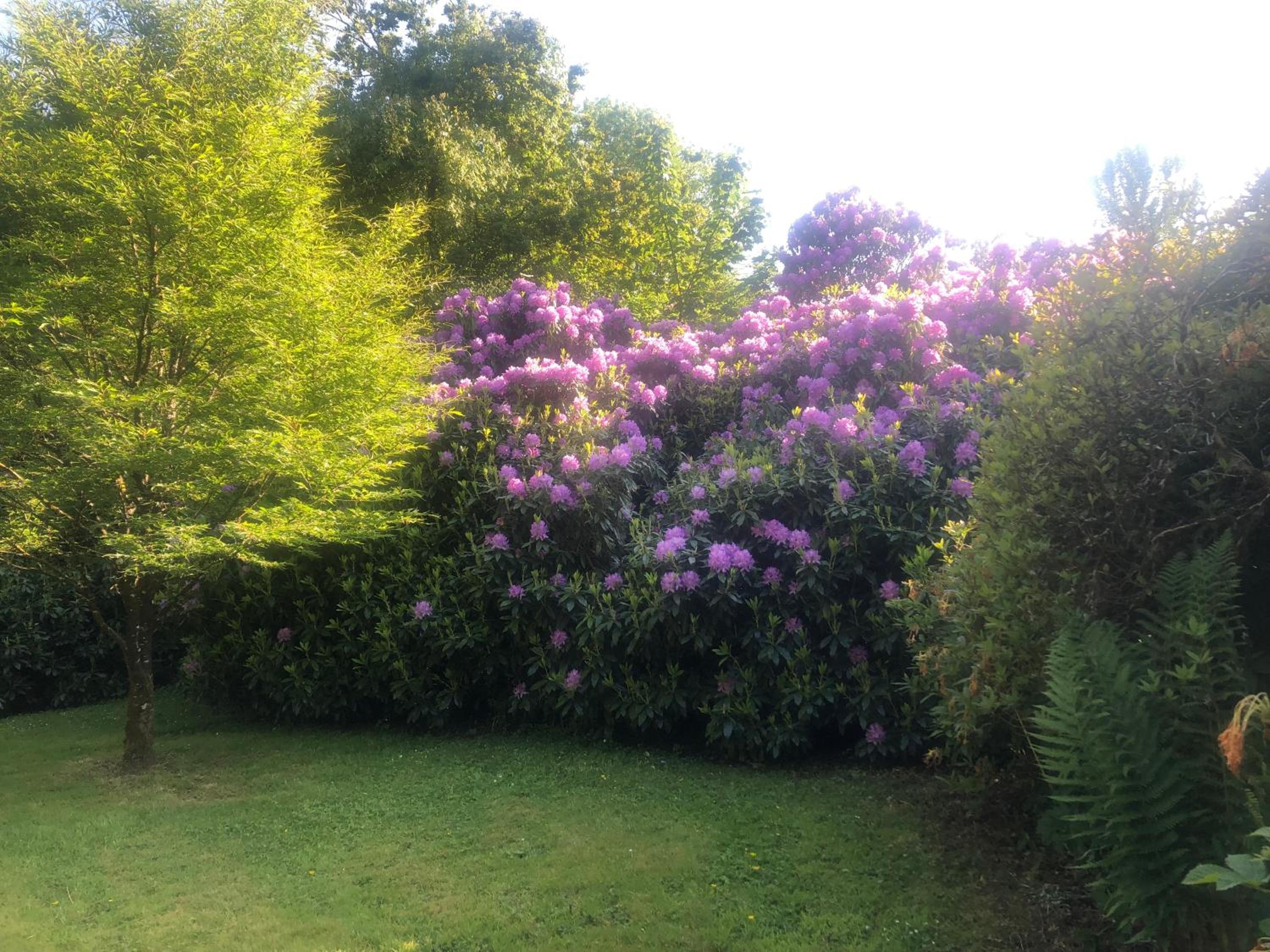 Photo 41