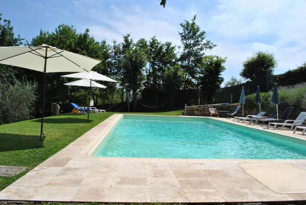 Casa Linda photo 3