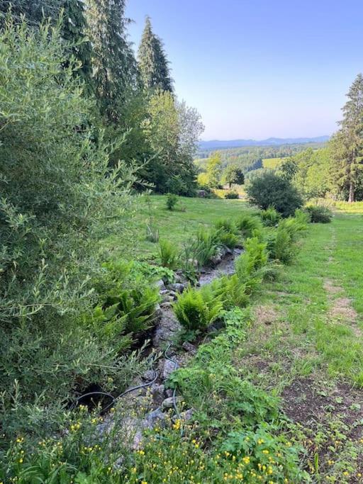 Bodea Alpenblick