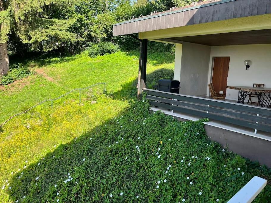 Bodea Alpenblick
