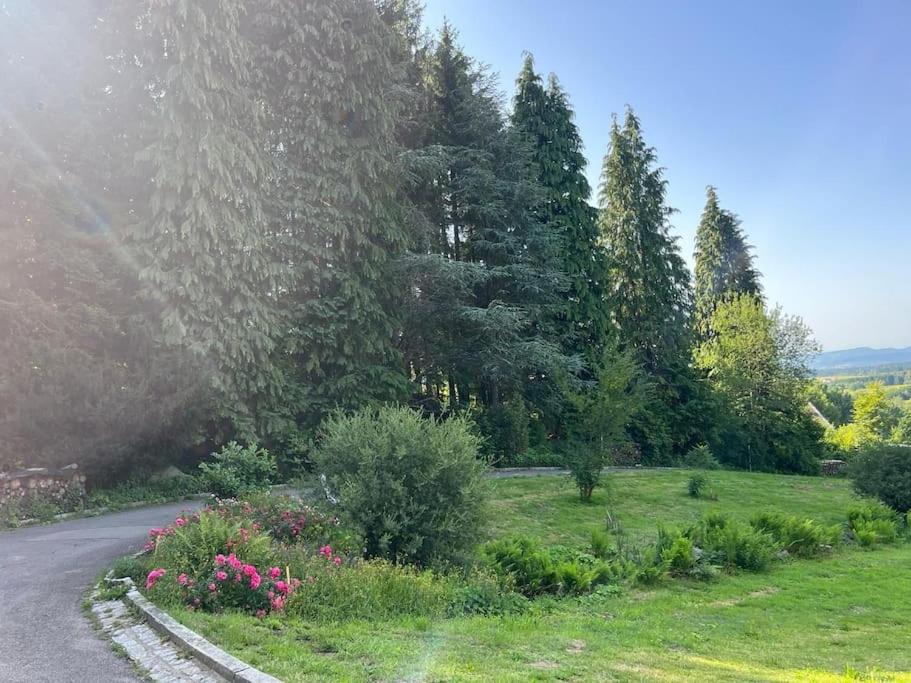 Bodea Alpenblick