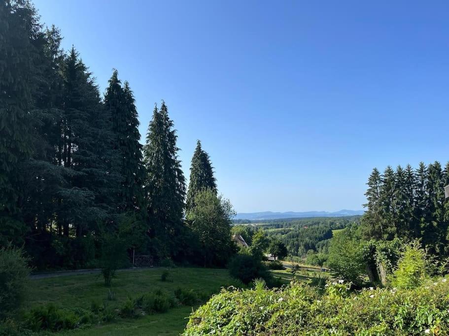 Bodea Alpenblick