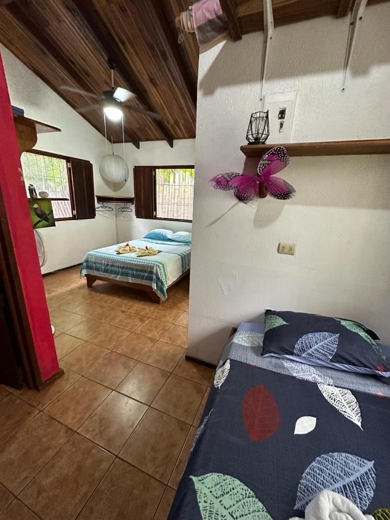 Mono Azul Cahuita