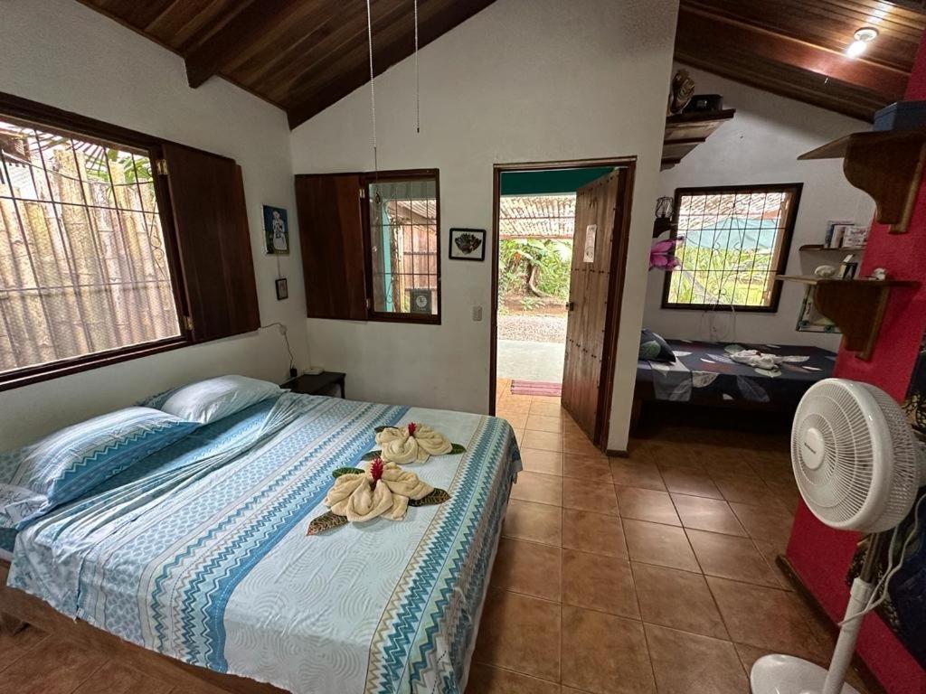 Mono Azul Cahuita