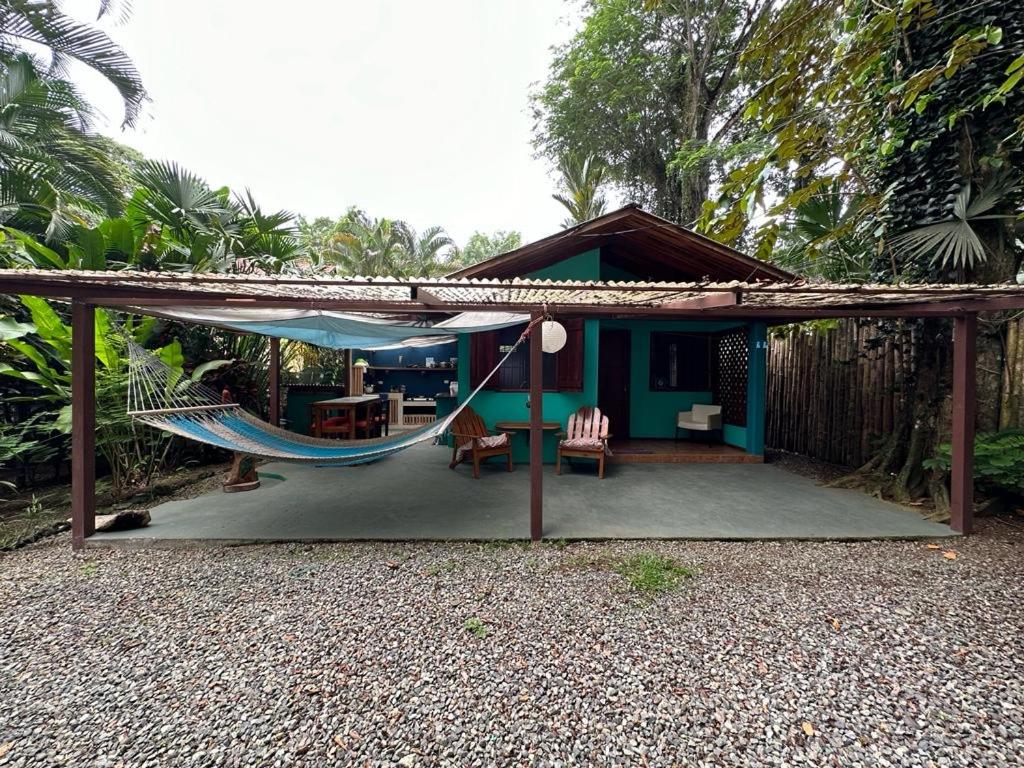 Mono Azul Cahuita