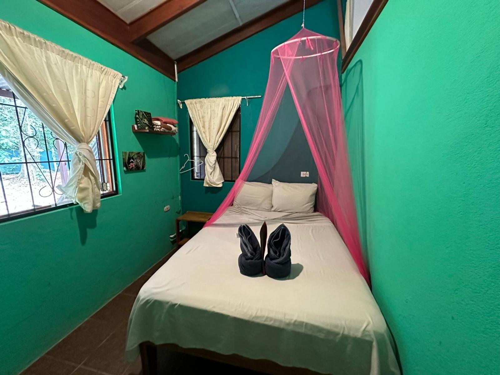 Mono Azul Cahuita