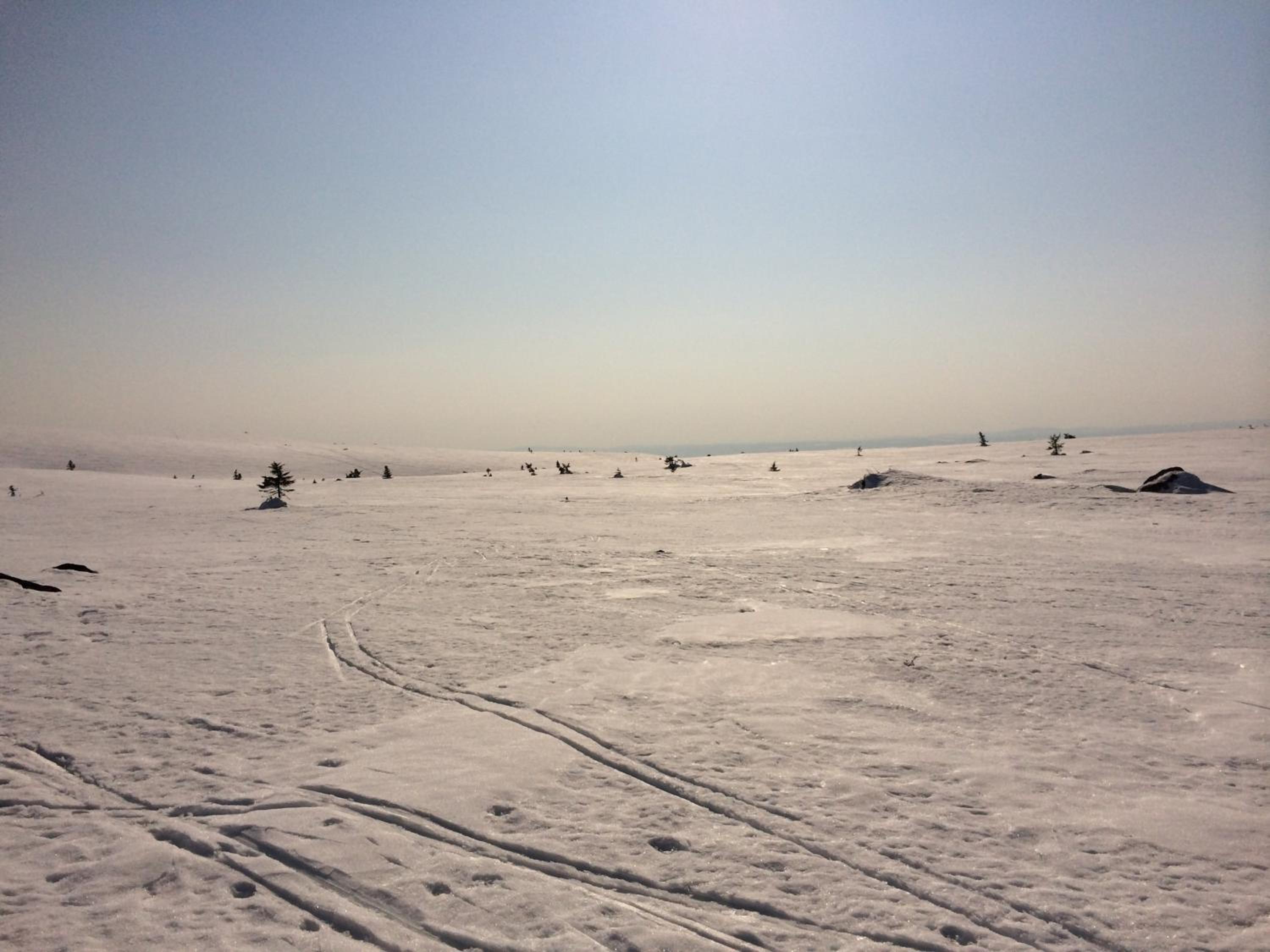 Photo 44