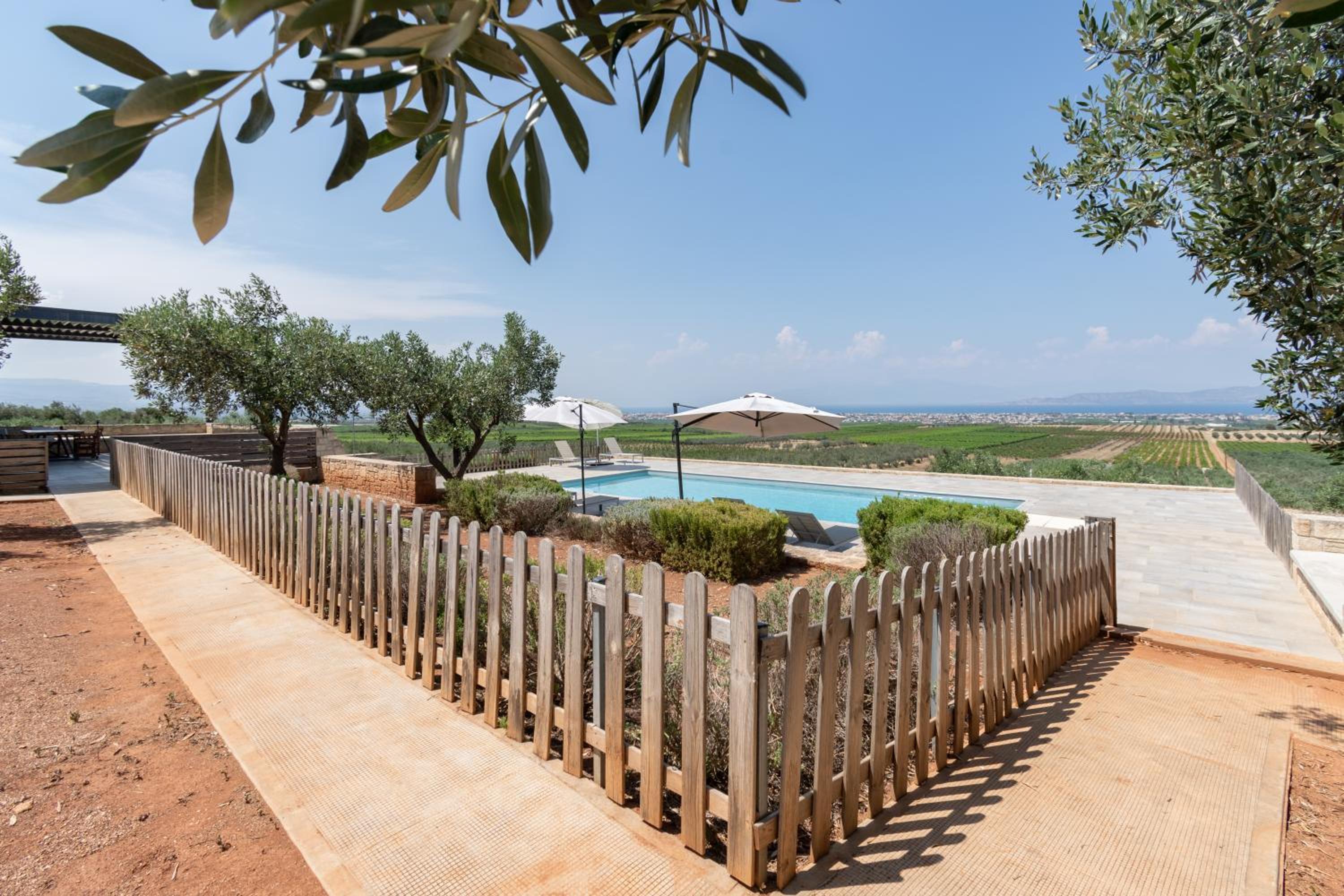 The Olive Hill view 5