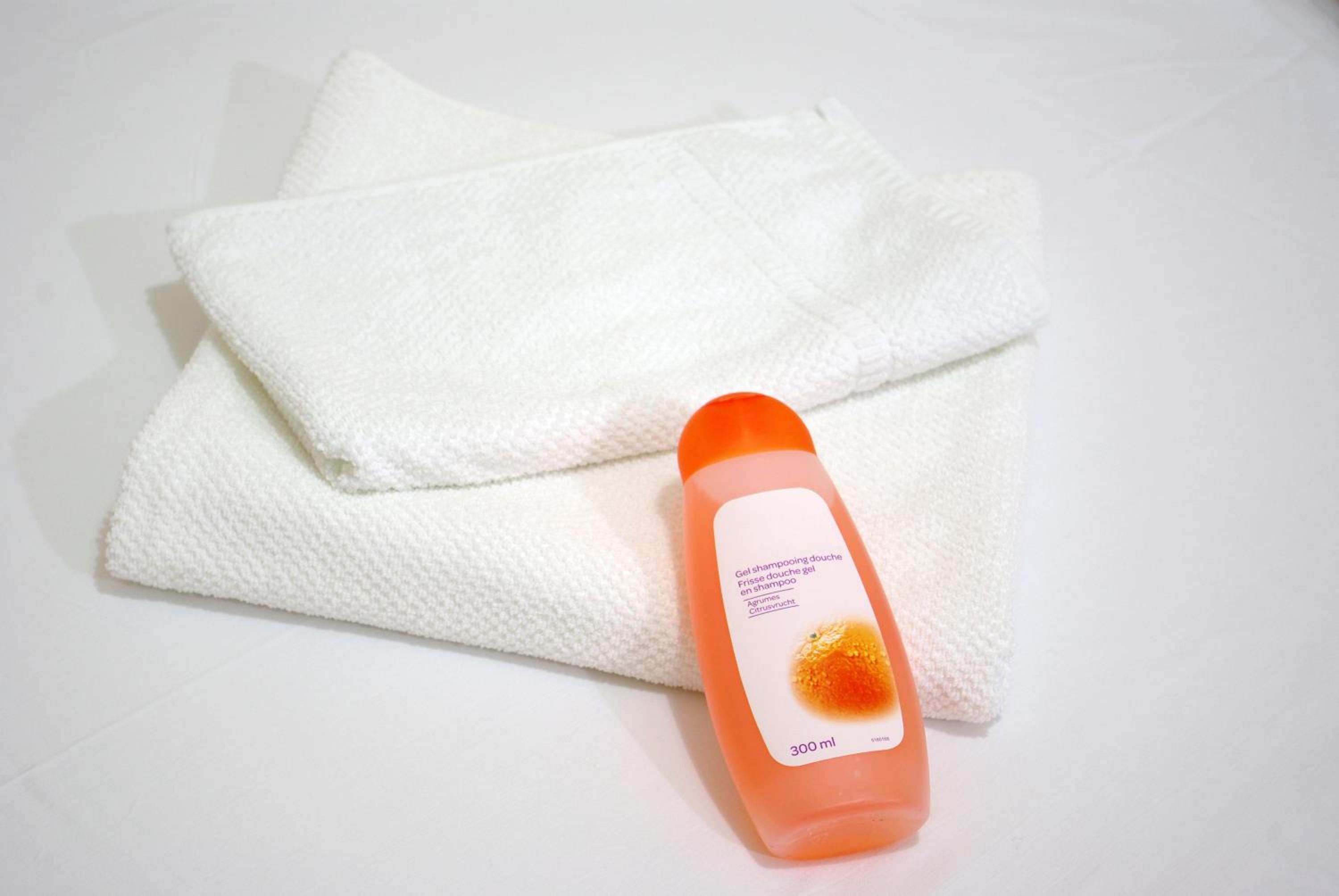 Old Town House