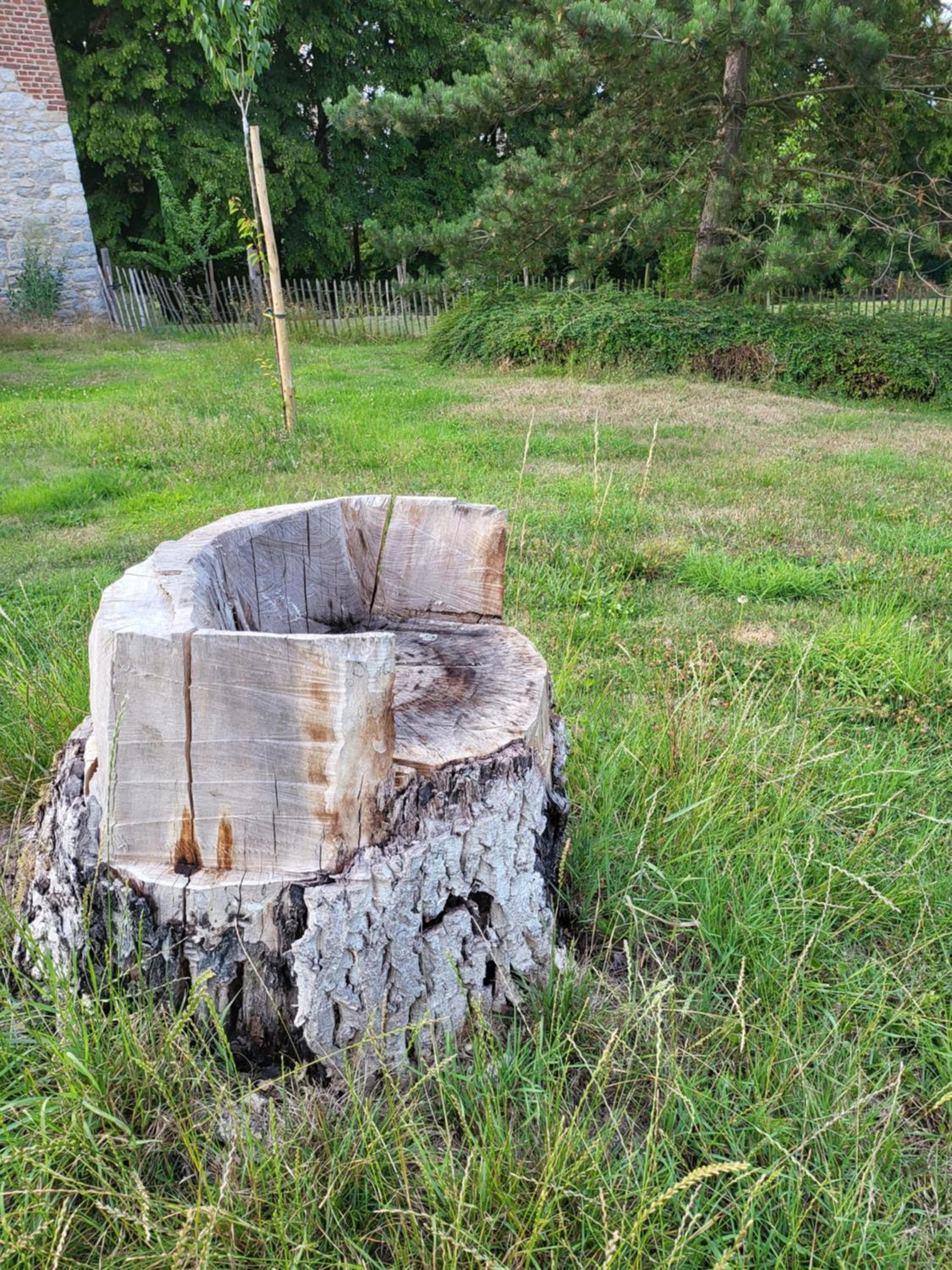 A la salle de jeux et son jardin autour de la cabane verte