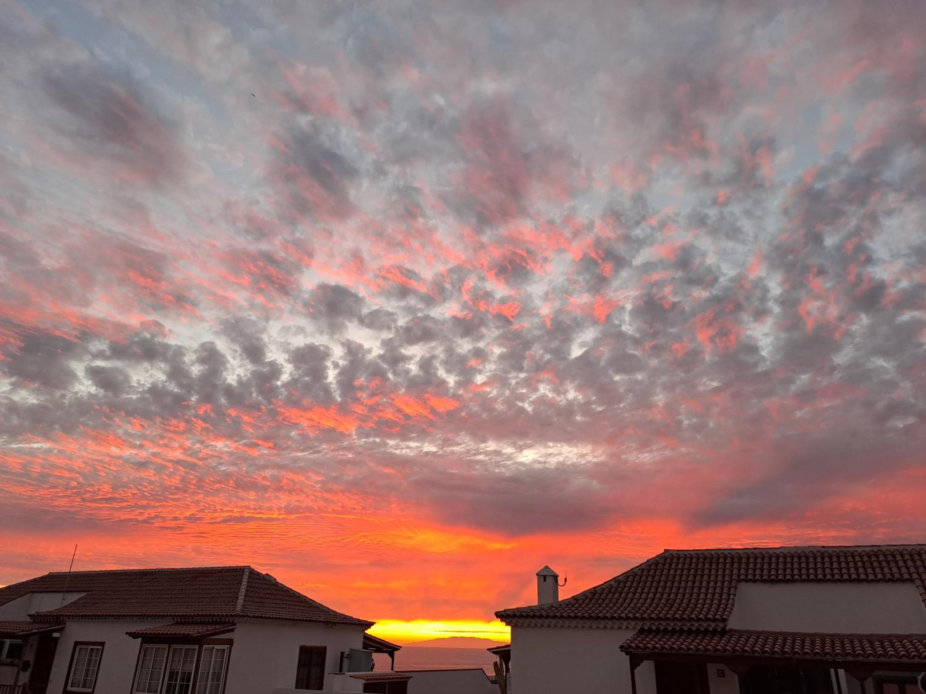 BuenaVista Gigantes Marina