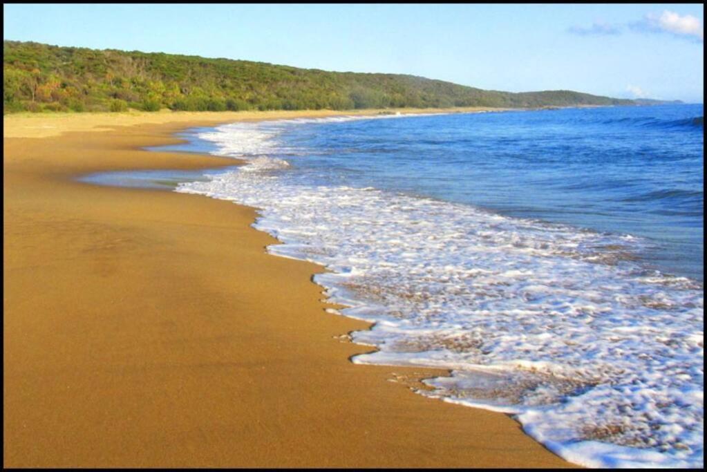 Kangaroo Kabin - Entire cabin, 5mins to the beach