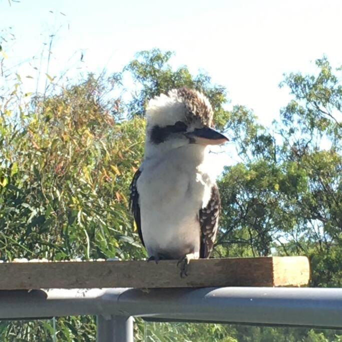 Kangaroo Kabin - Entire cabin, 5mins to the beach