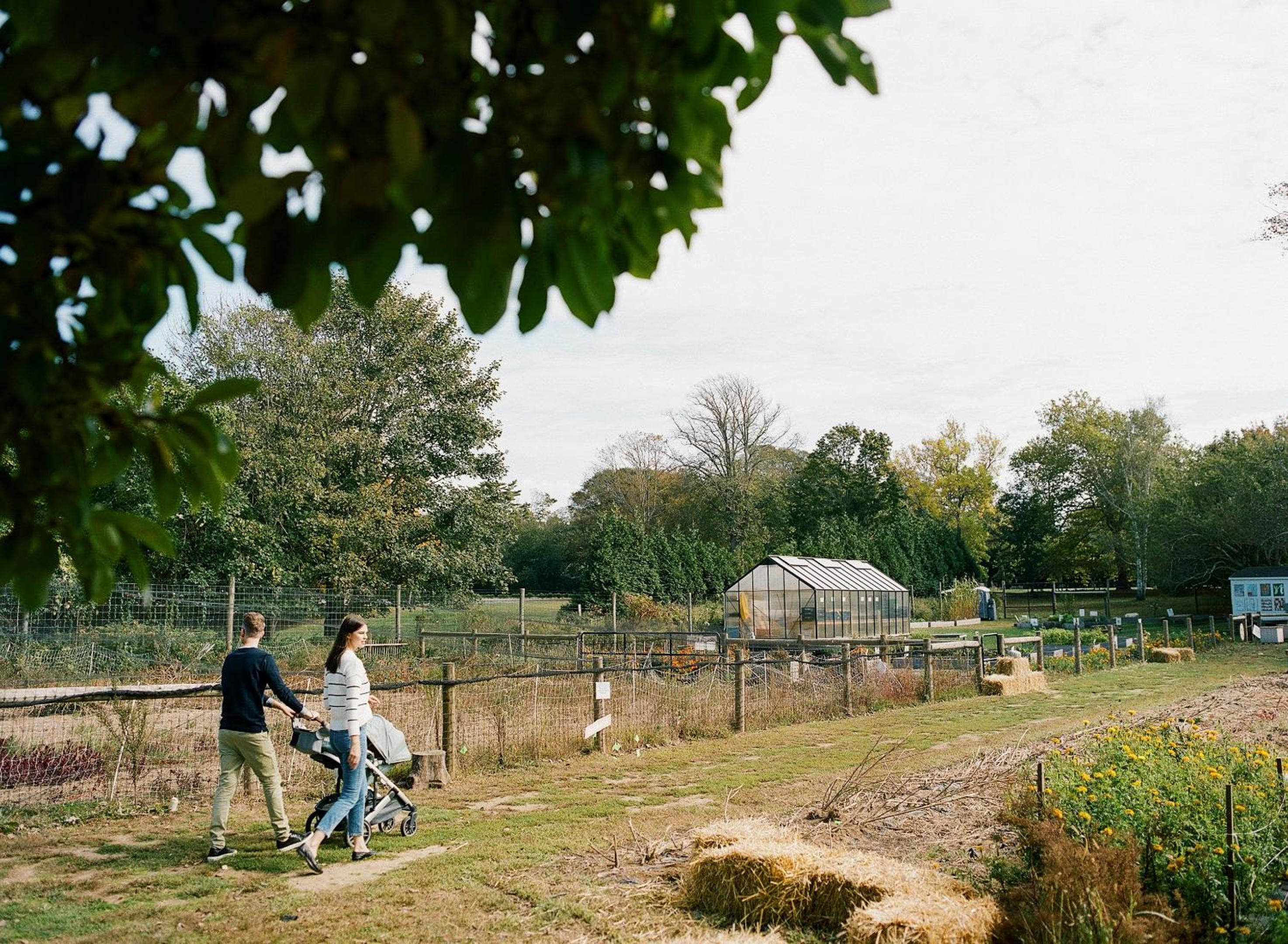 The Roundtree, Amagansett