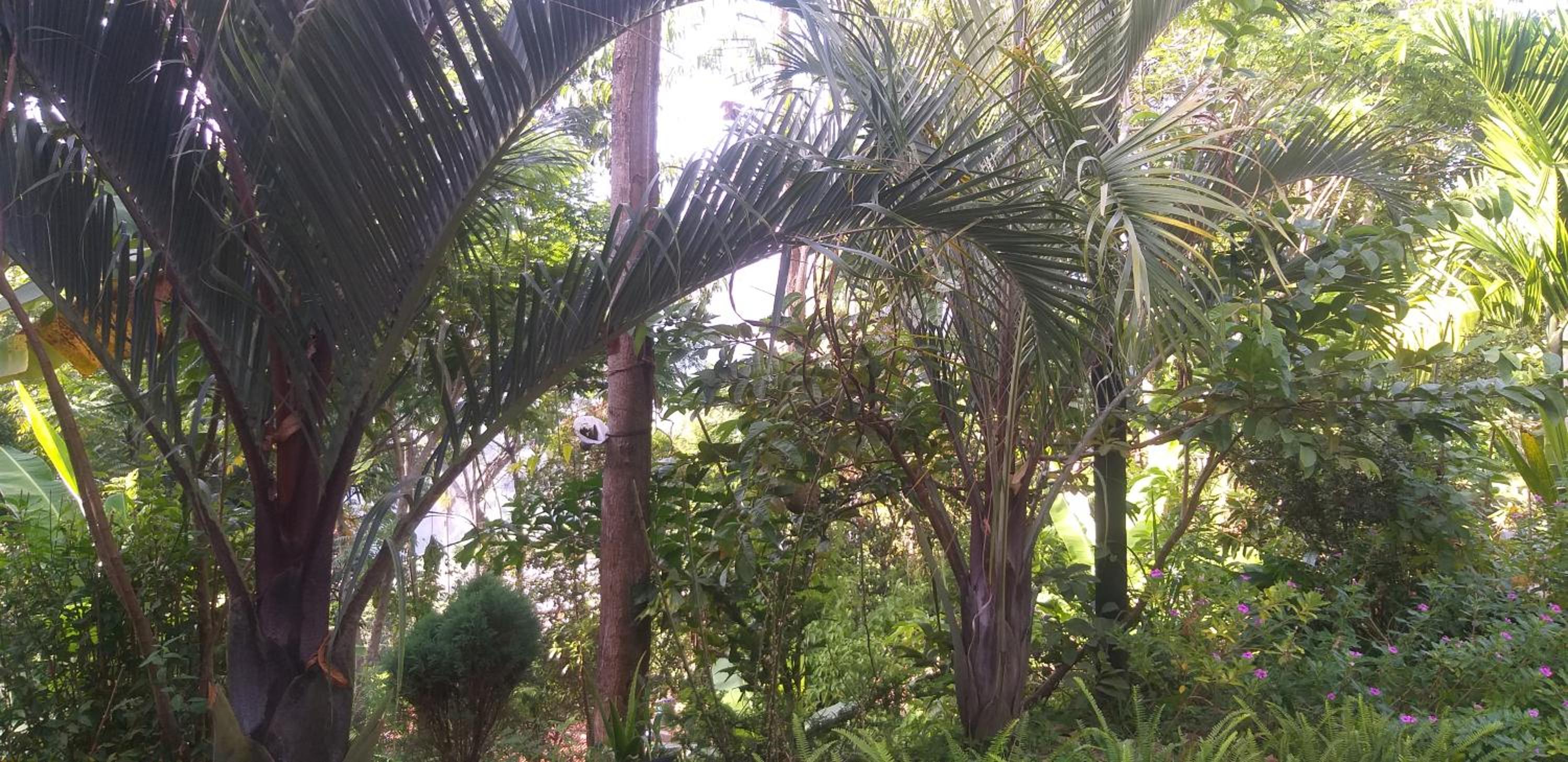 Mature Home Ella view 3