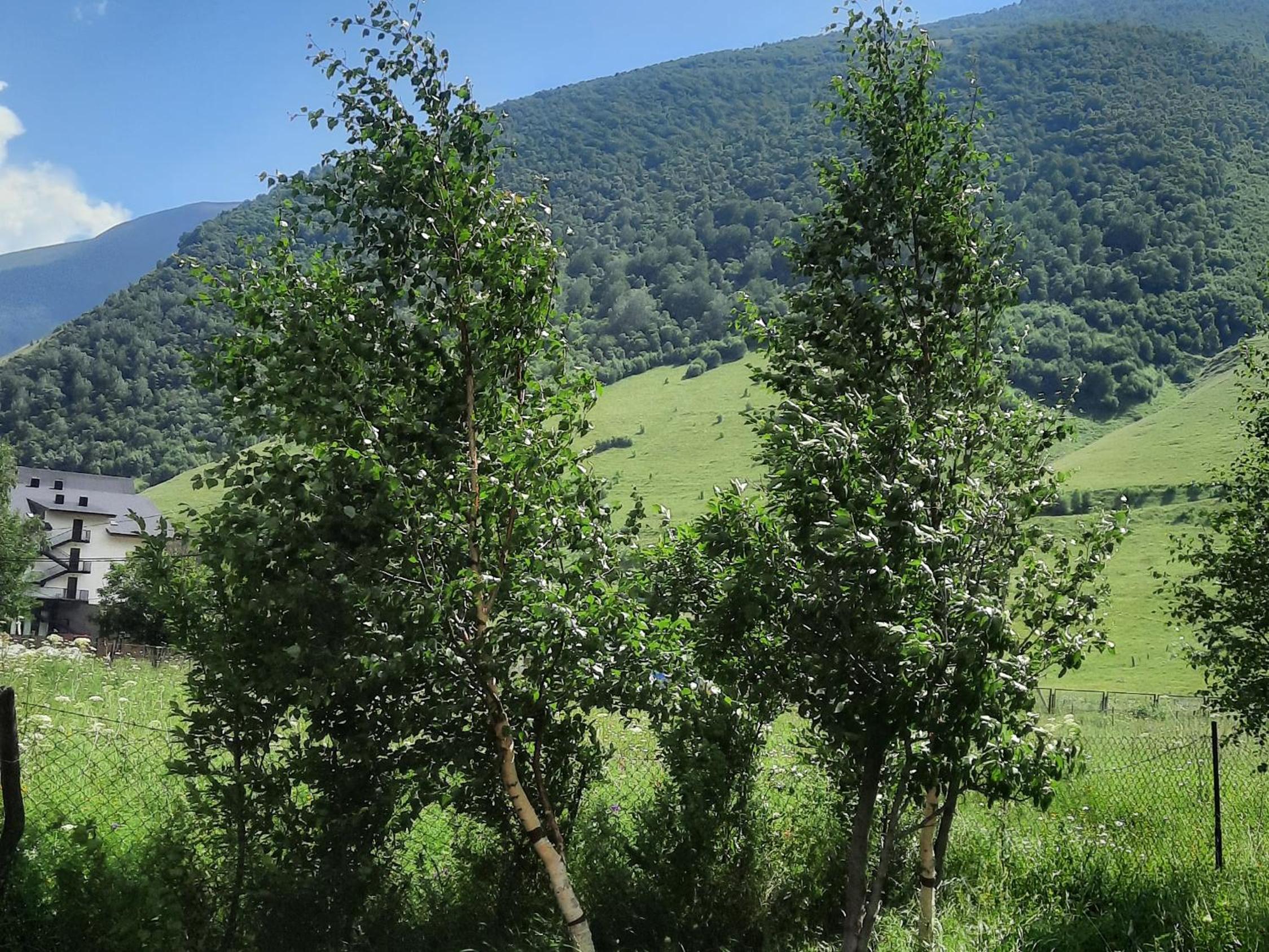 Cottage THORI Stephantsminda,Achkhoti