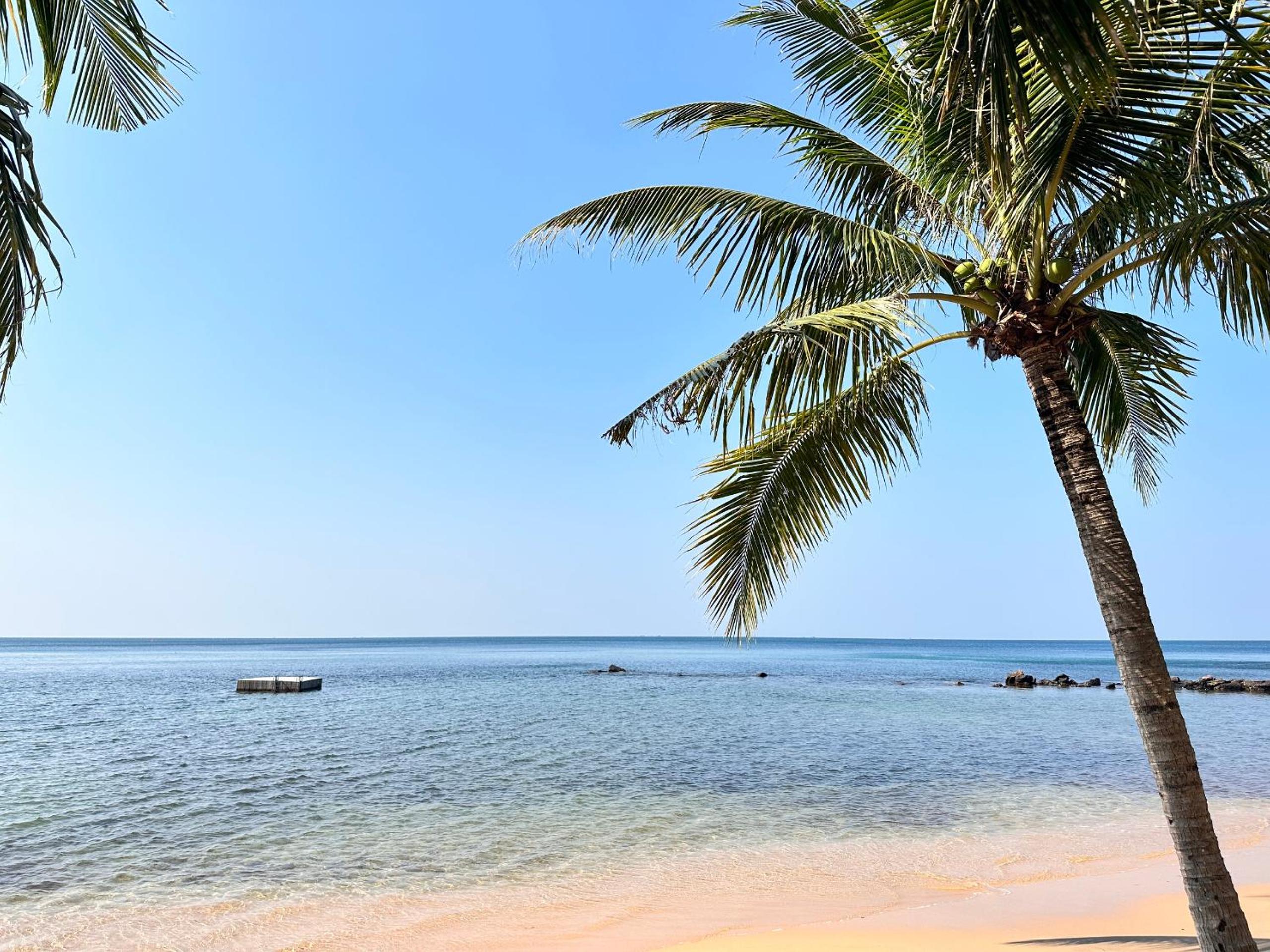 Sea Sense Resort
