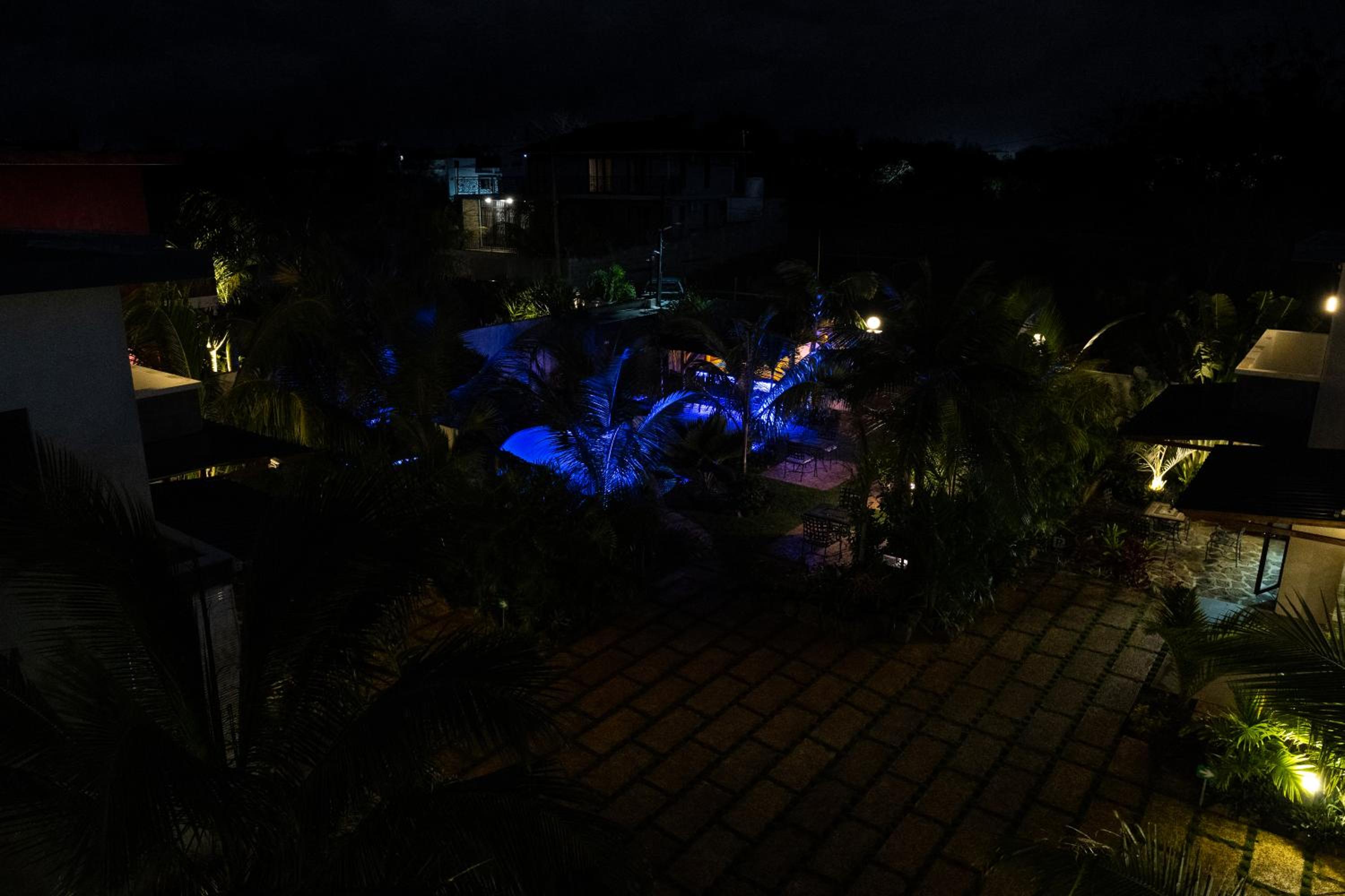 Photo 8