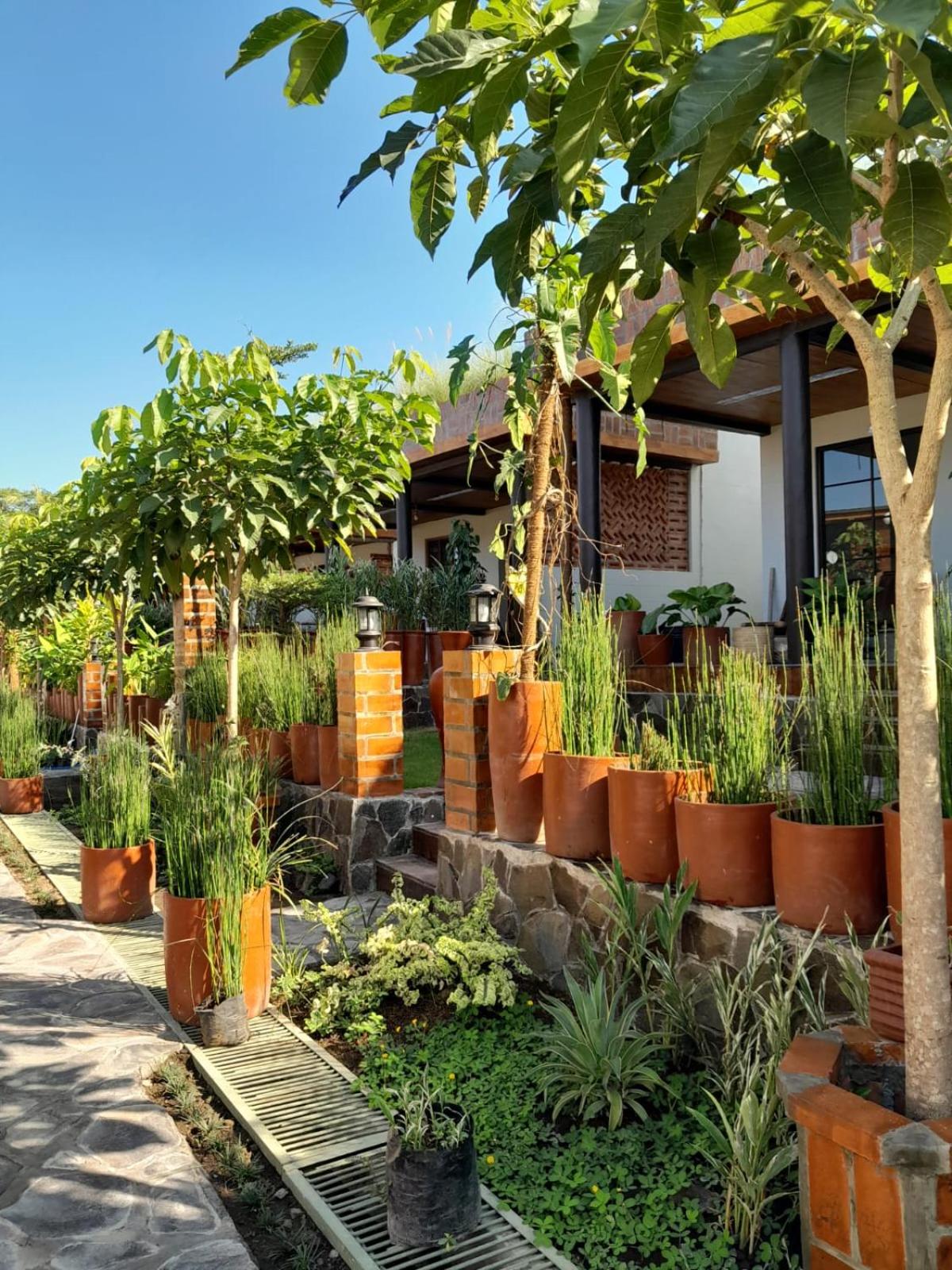 Tzy-No Cottage Yogyakarta view 5