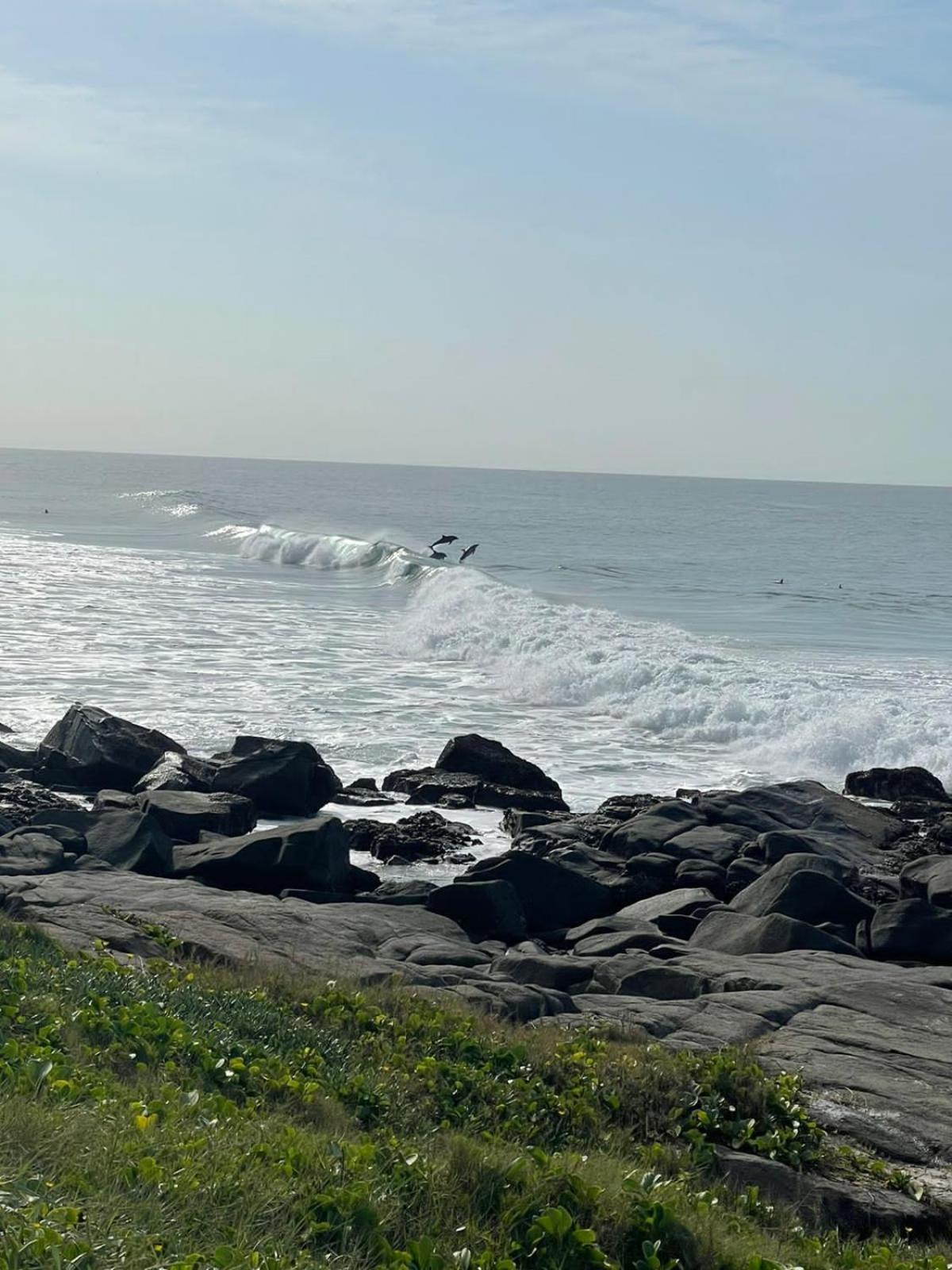 Dolphin Coast Getaway
